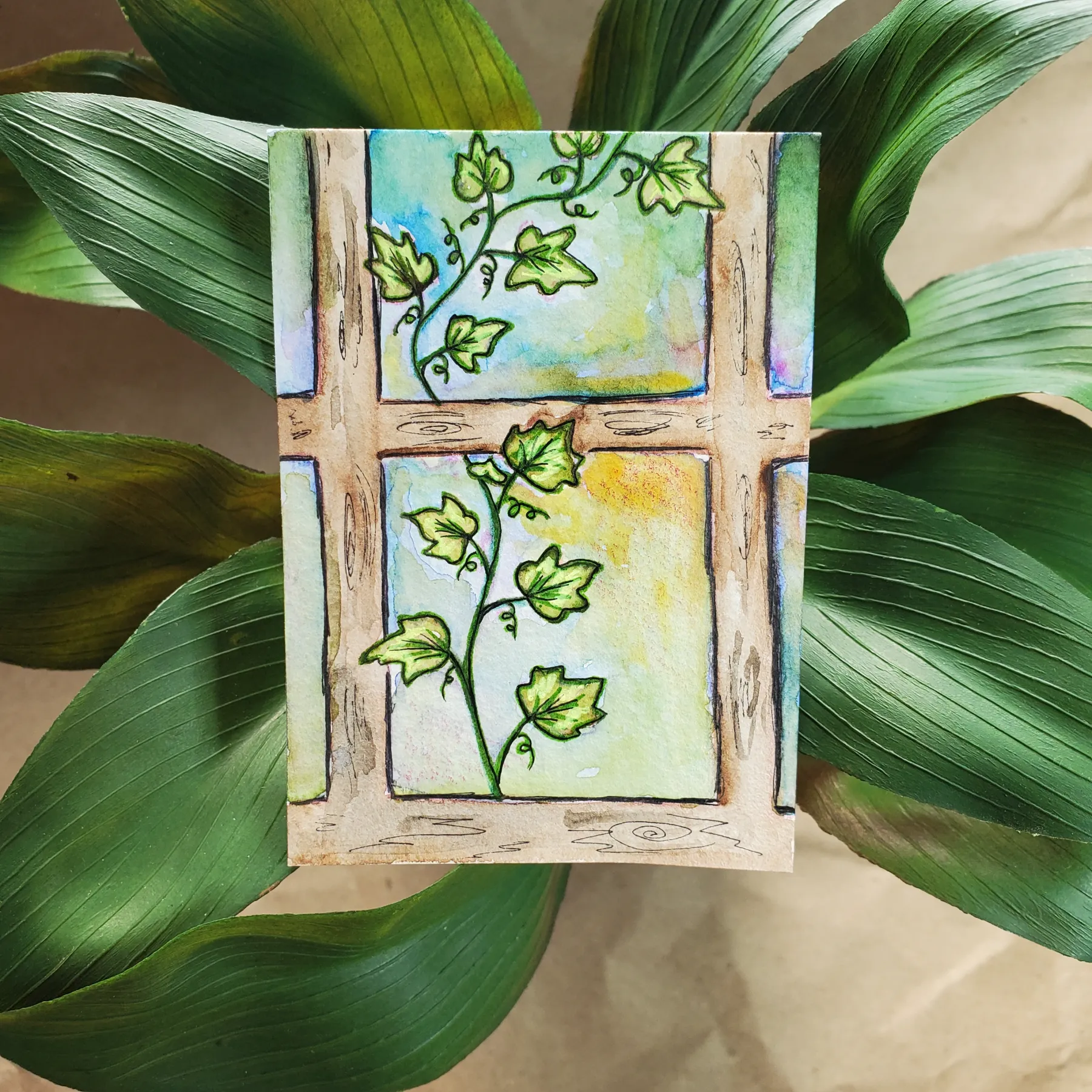 Ivy Frame aceo art card