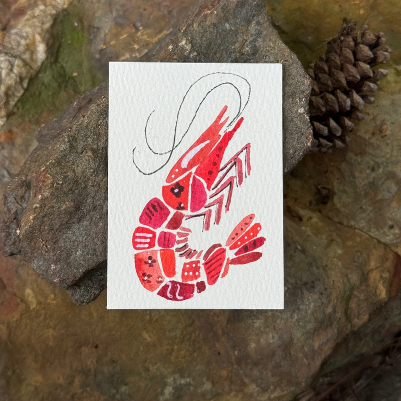 ACEO original, Shrimp, Seafood, Patchwork, Watercolor, 3.5x2.5in, Red,  By Lark Watercolor and Art aceo art card