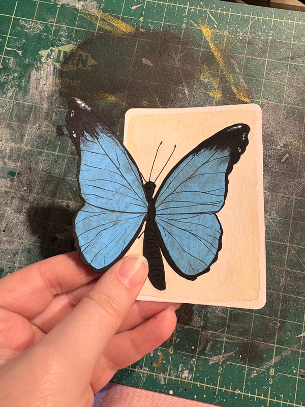 Blue Morpho aceo art card