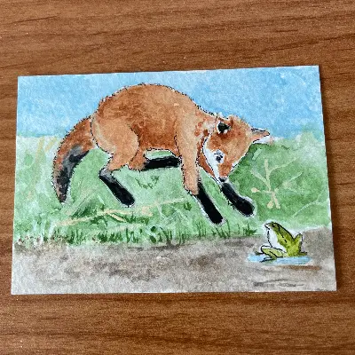 Fox Meets Frog aceo art card thumbnail 2