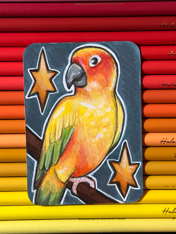 Aratinga Bird aceo art card