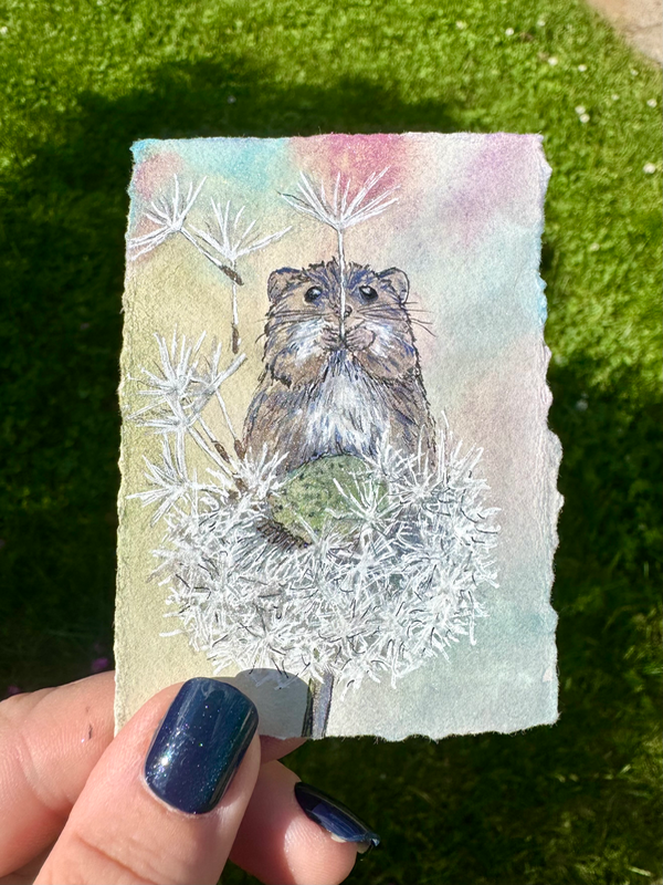 Dandelion Mouse aceo art card