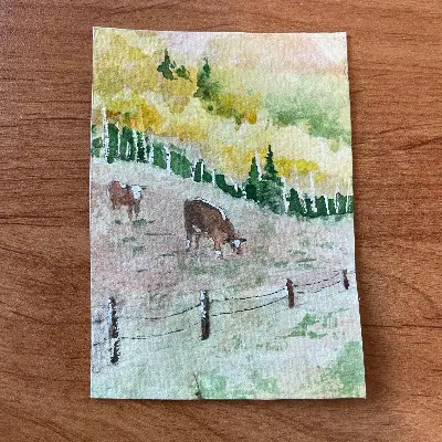 Mountain Cattle aceo art card thumbnail 2