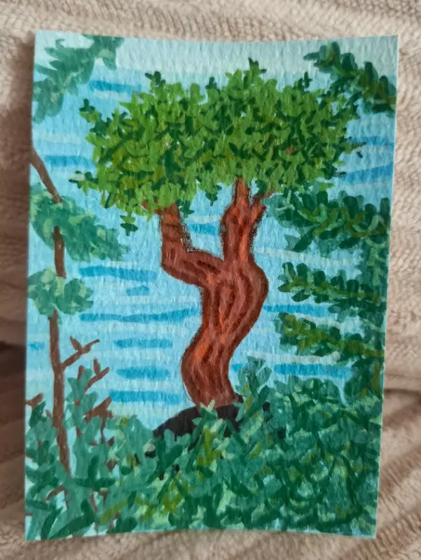 Little spirit cedar tree aceo art card