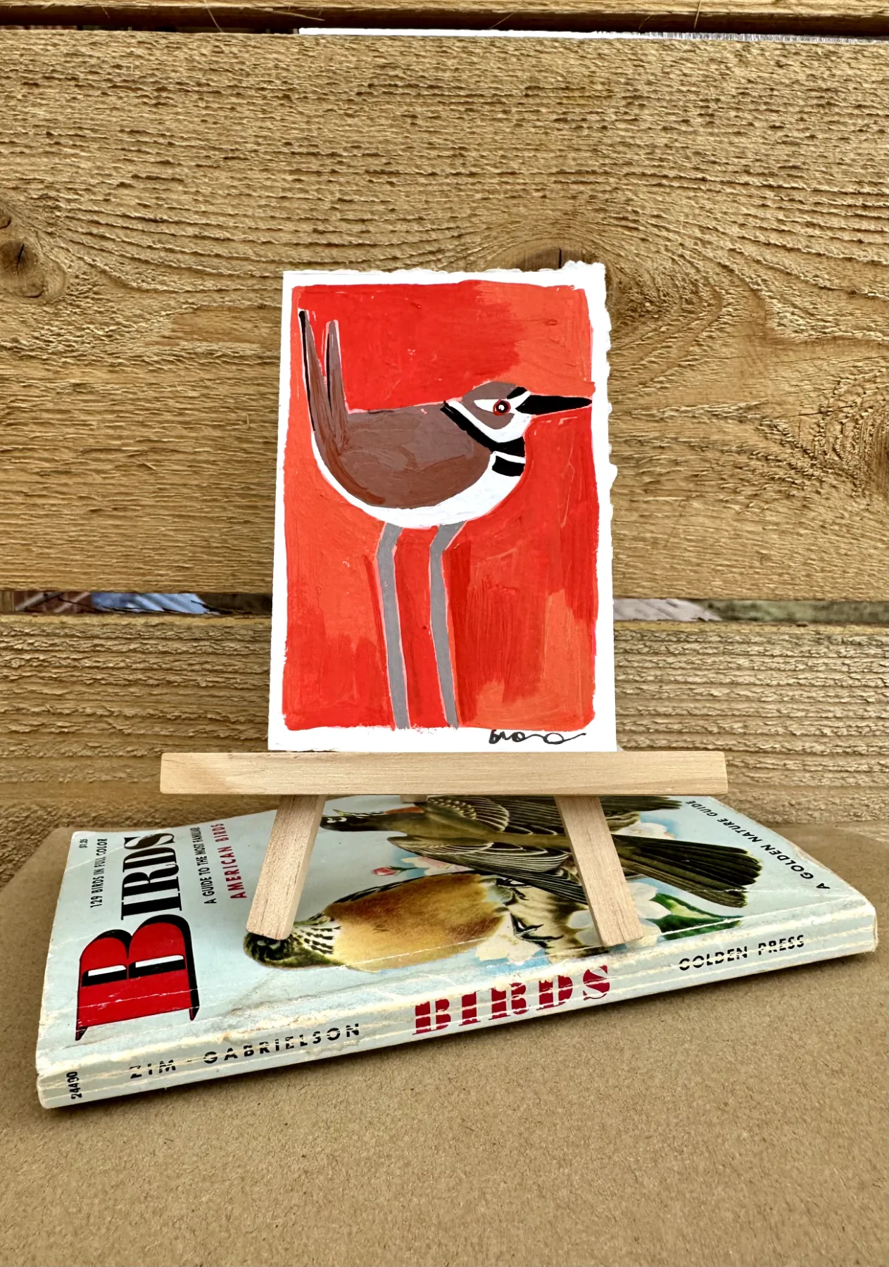 Killdeer | Bird Painting aceo art card