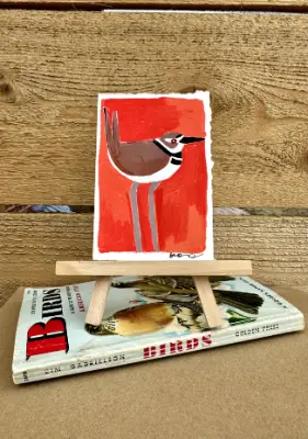 Killdeer | Bird Painting aceo art card thumbnail 1
