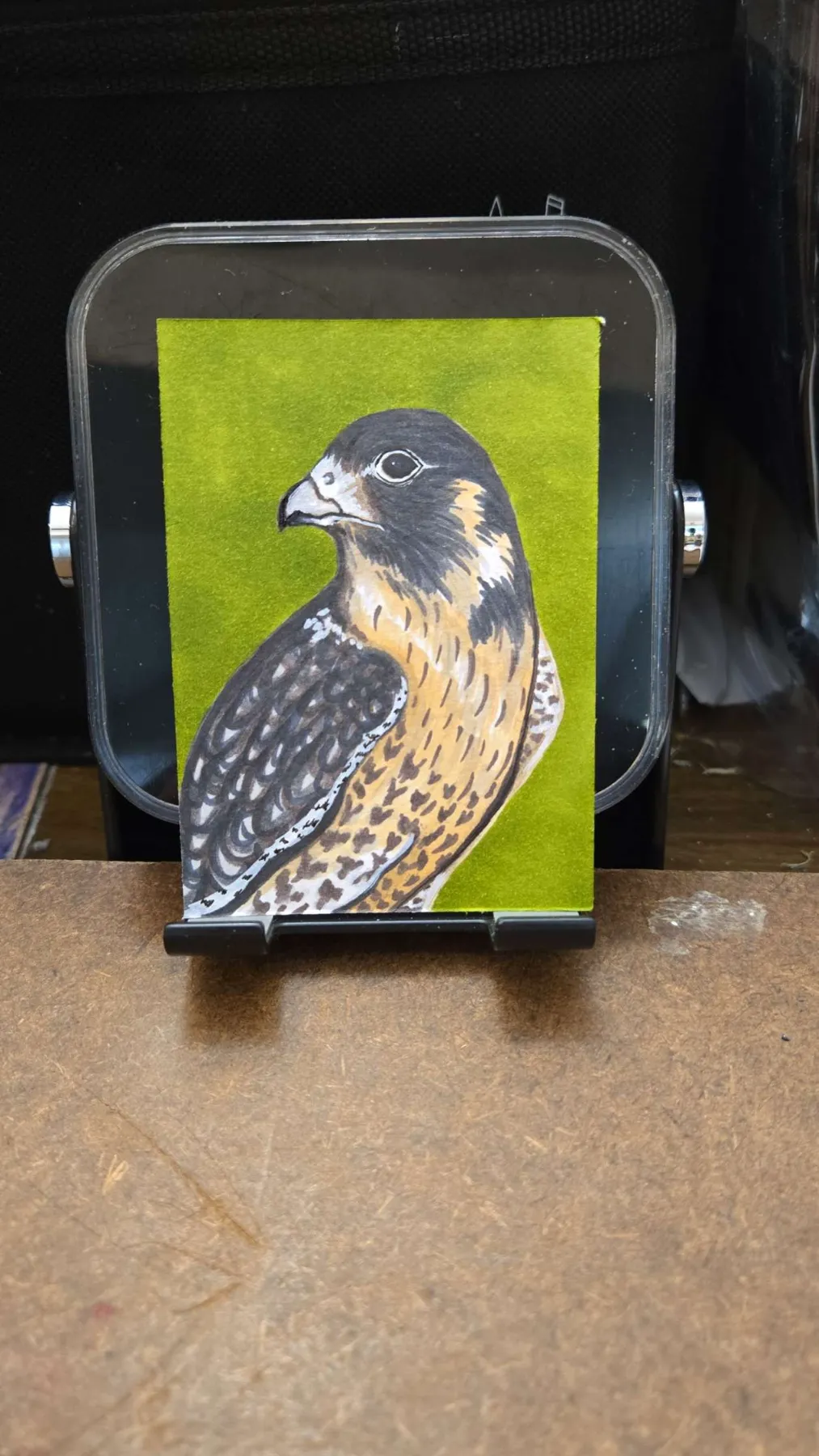 Peregrine aceo art card