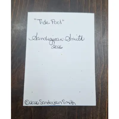 "Tide Pool" aceo art card thumbnail 3