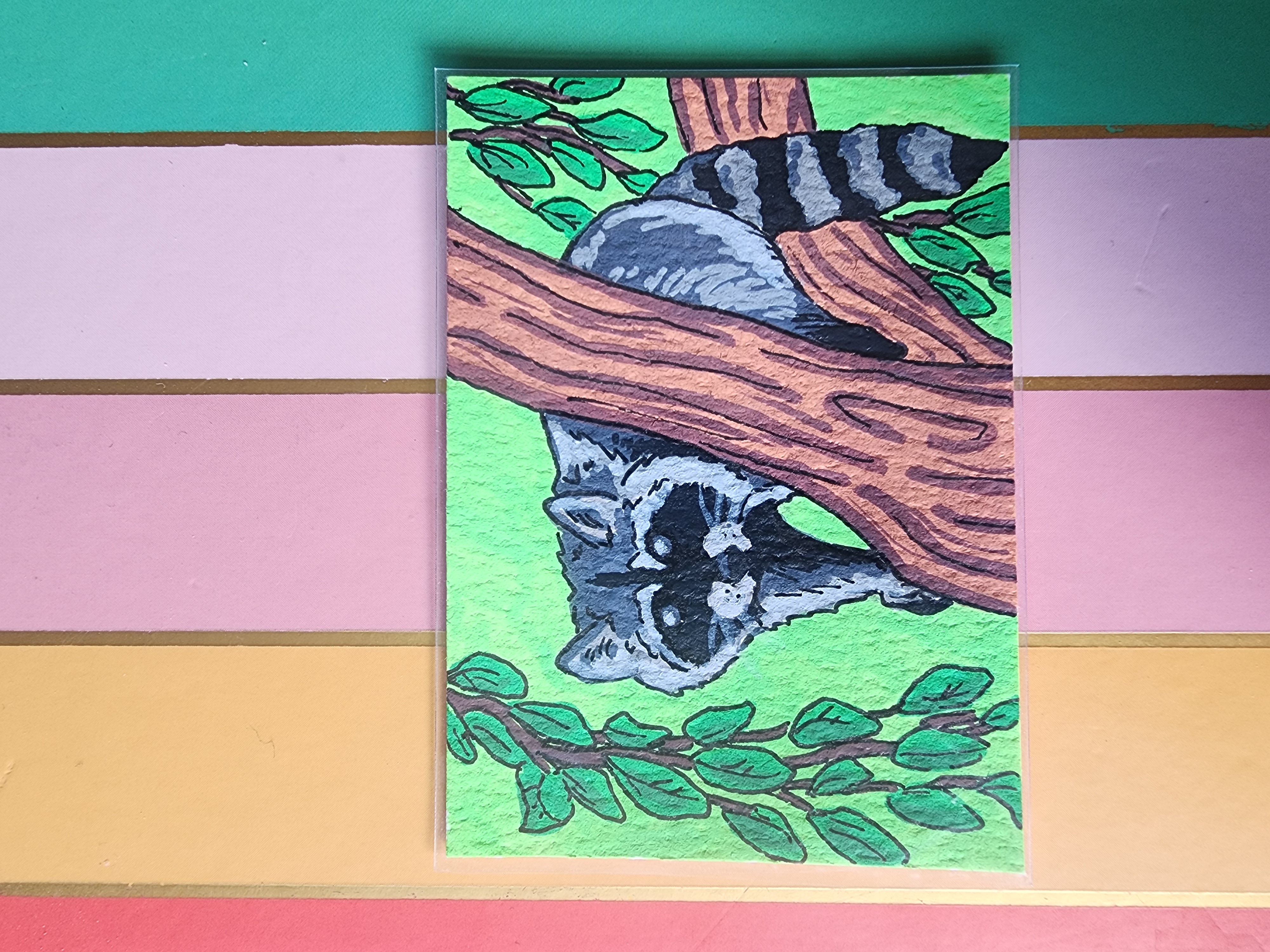 Raccoon Test Piece aceo art card