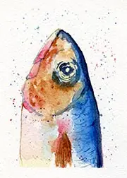 fish head aceo art card
