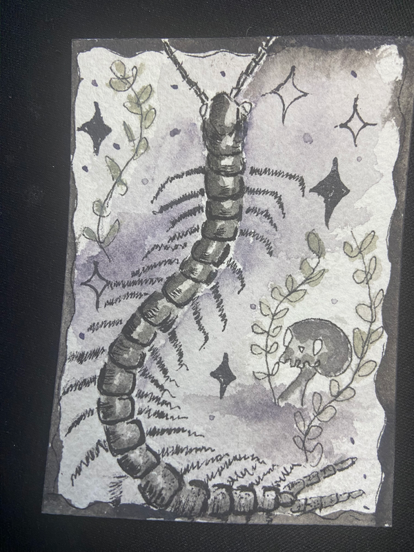 Whimsy centipede aceo art card