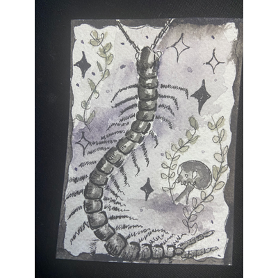 Whimsy centipede aceo art card thumbnail 1