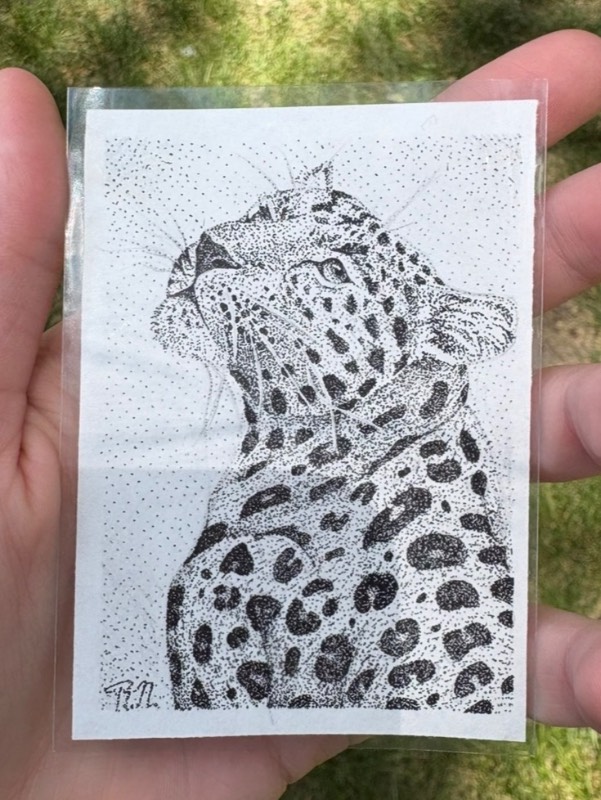 Leopard aceo art card