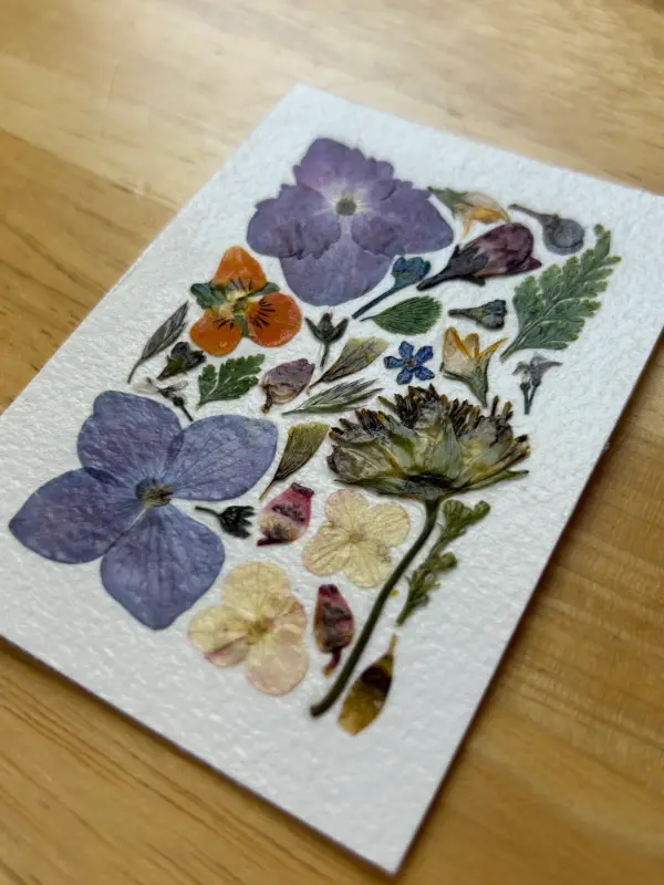 Pressed Flowers #14 (Floral Series) aceo art card