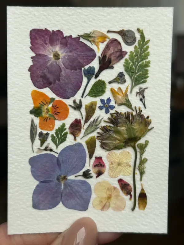 Pressed Flowers #14 (Floral Series) aceo art card