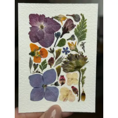 Pressed Flowers #14 (Floral Series) aceo art card thumbnail 2