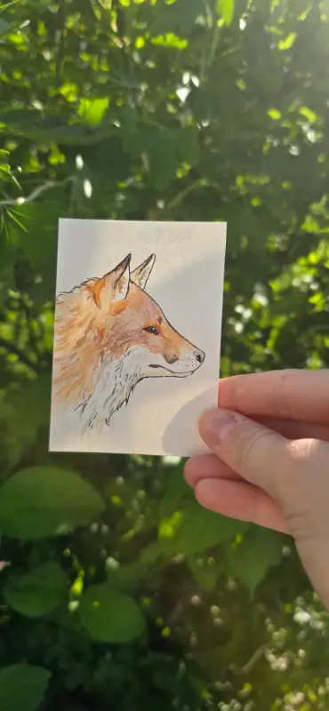 Red Fox aceo art card