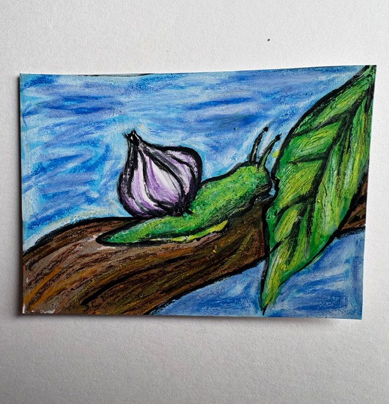 Allium Gastropoda Munchin’ aceo art card