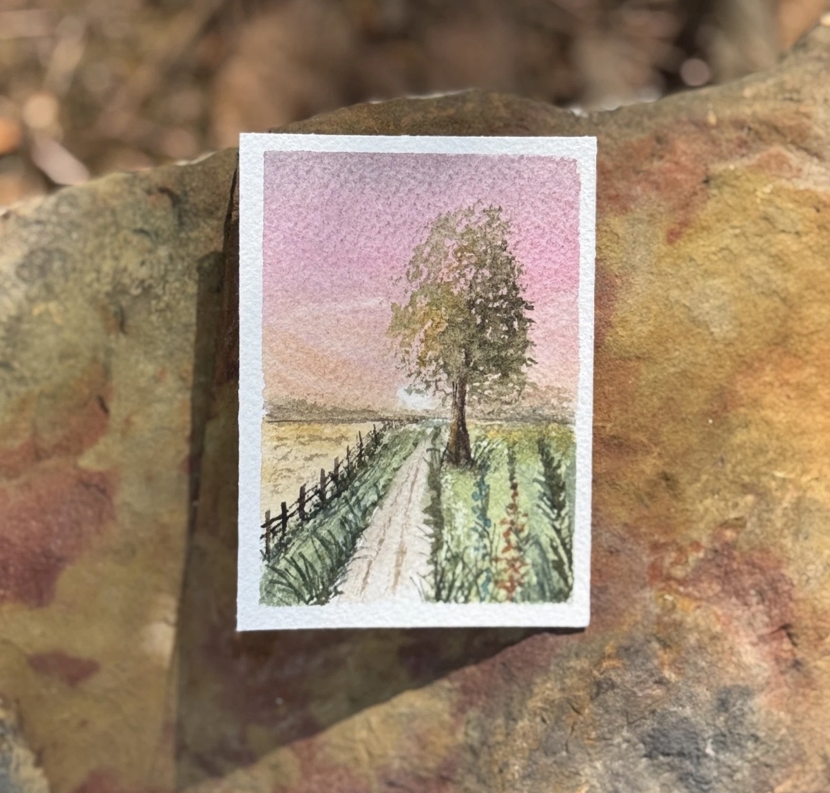 ACEO Original Watercolor “Sunrise and Fence Road” aceo art card
