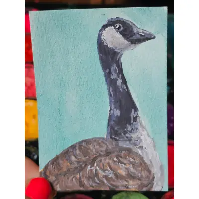 Canadian Goose aceo art card thumbnail 2