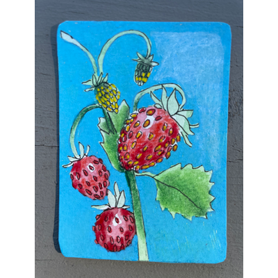 Wild Strawberries aceo art card thumbnail 1