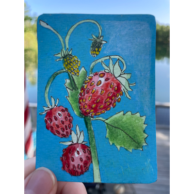 Wild Strawberries aceo art card thumbnail 2