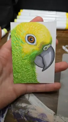 Yellow crown Conure aceo art card thumbnail 2