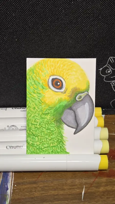 Yellow crown Conure aceo art card