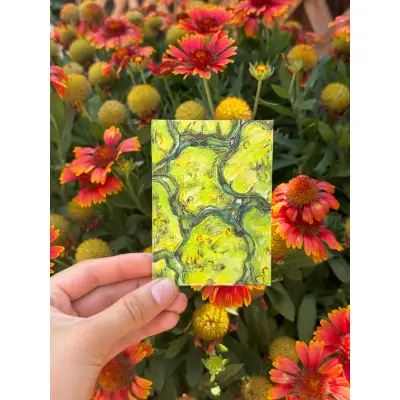 ACEO Original "Pickle your Chips" aceo art card thumbnail 1
