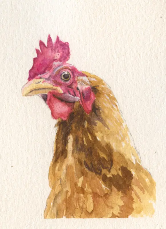 Good Day aceo art card