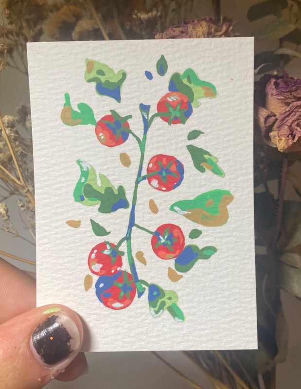 tomato vine aceo art card