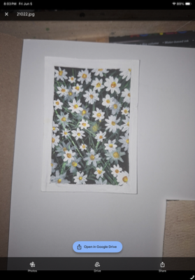 Daisys aceo art card thumbnail 2