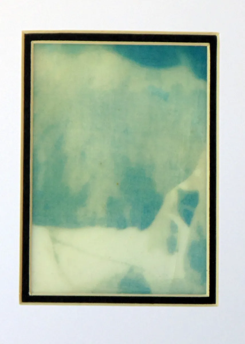 Rose Petal Abstraction Cyanotype and Encaustic original art ACEO aceo art card