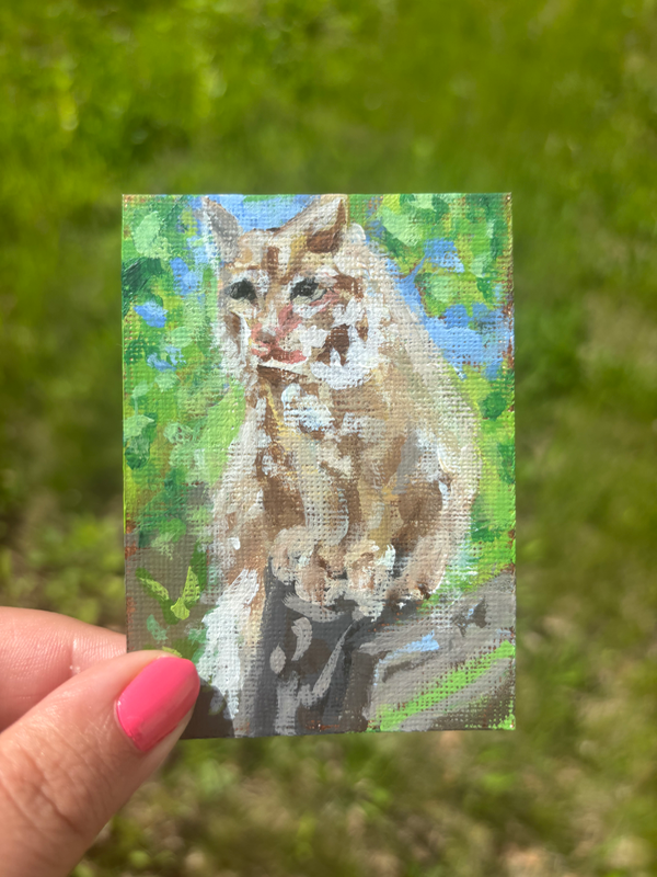 “Cat On Pole” Cat Portrait with landscape aceo art card