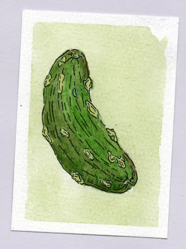 Dill Pickle aceo art card