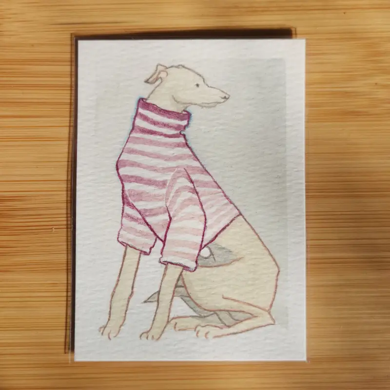 greyhound aceo art card