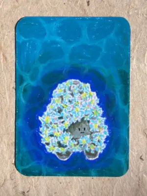 Coral Rock Creature aceo art card thumbnail 1