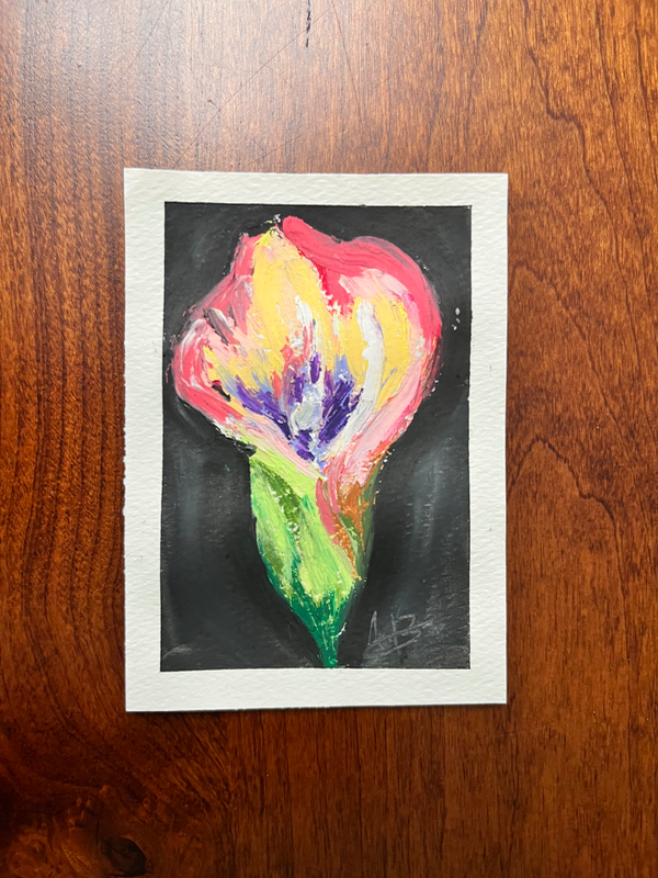 Colorful Calla Lily aceo art card