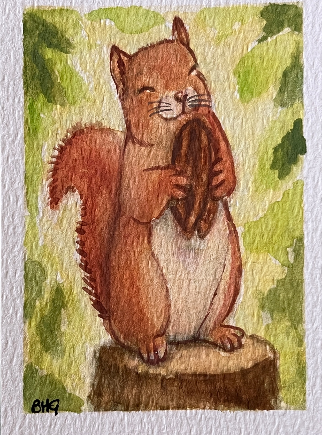 Squirrel Loves Pecan aceo art card