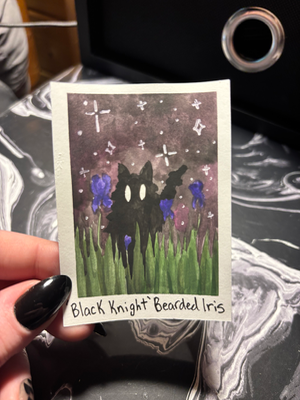 Spooky Baby: Bearded iris aceo art card thumbnail 2