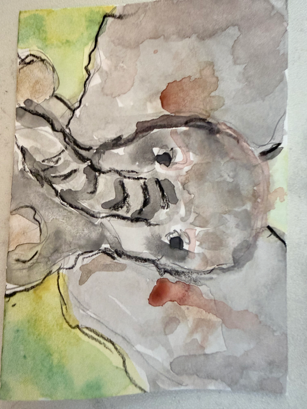 Tiny Elephant, watercolor and charcoal on paper aceo art card