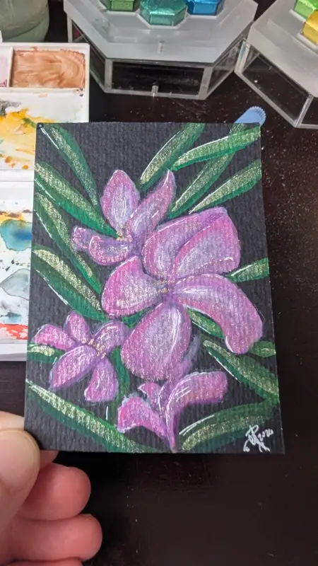 Nerium oleander aceo art card