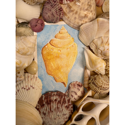 Pretty Shell aceo art card thumbnail 1