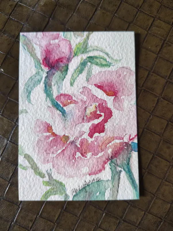 Wild Pink Roses Original WaterColour by CheyAnne aceo art card