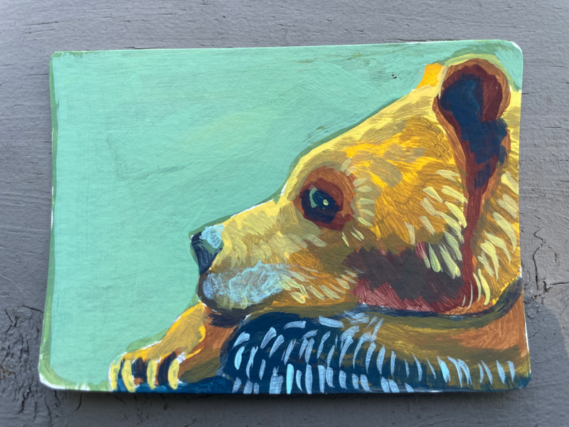 Resting Bear aceo art card