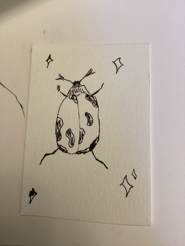 Beetle 4/4 aceo art card