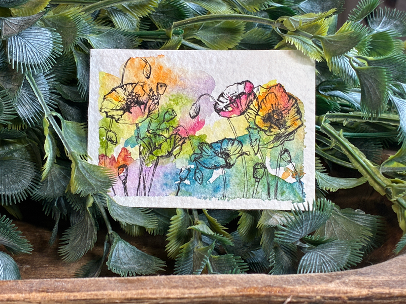 Blooming Poppies aceo art card