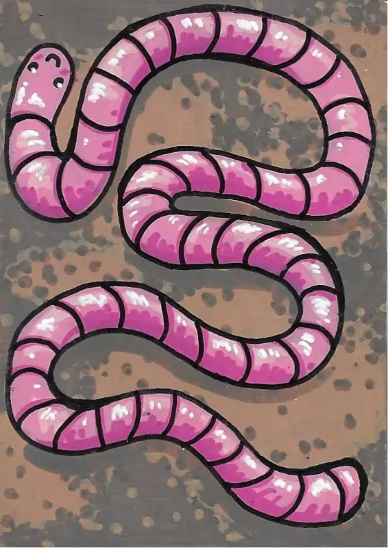 A Long Worm aceo art card