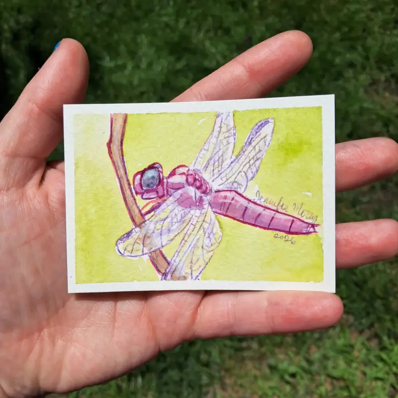 Dragonfly Series - Roseate Skimmer Watercolor ACEO aceo art card