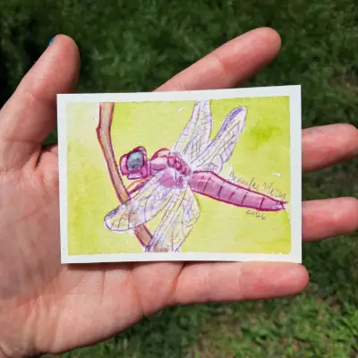 Dragonfly Series - Roseate Skimmer Watercolor ACEO aceo art card thumbnail 1